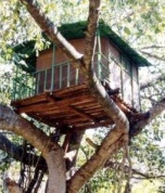 Kerala-treehouse-marayoor